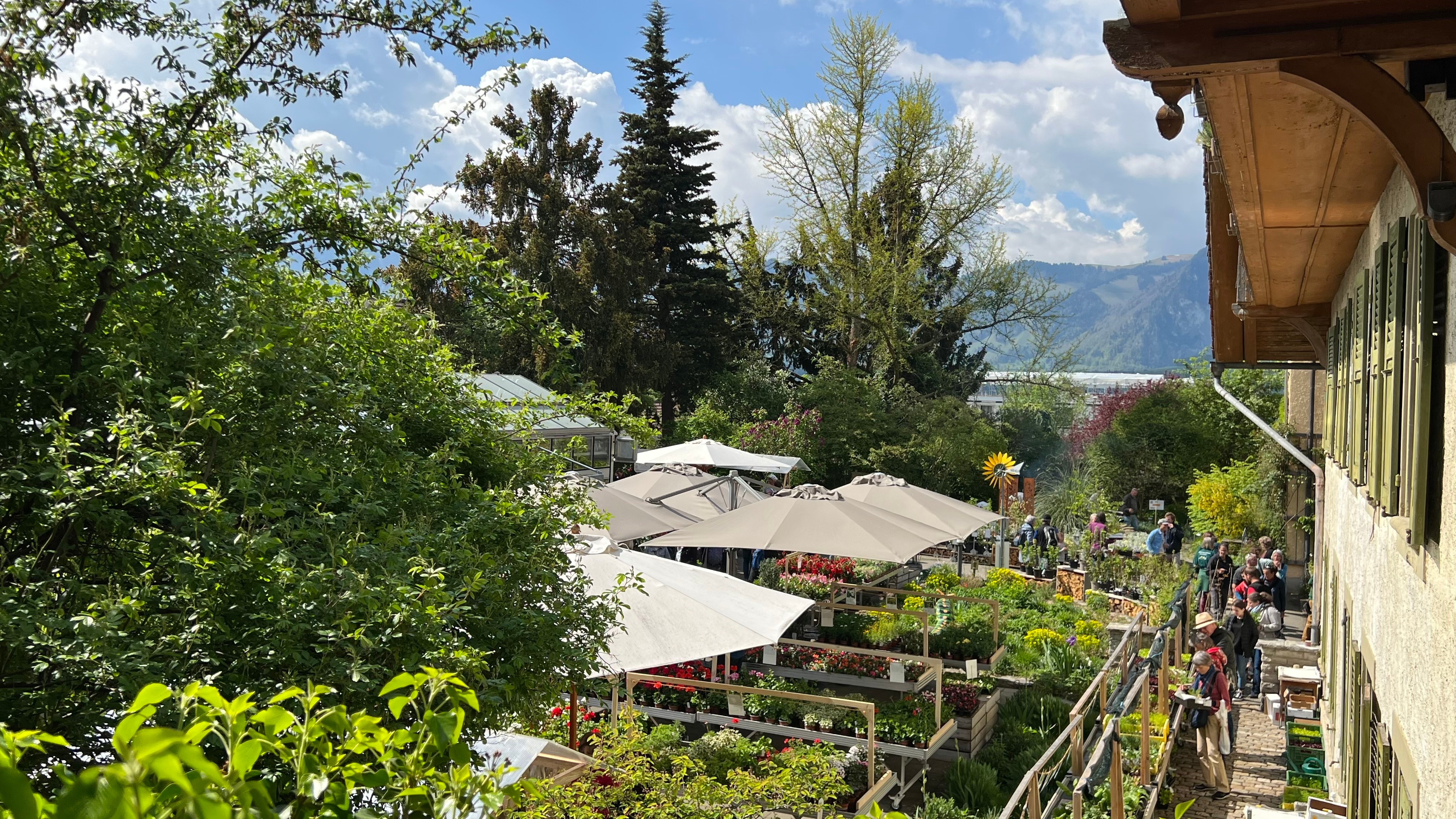 Kontaktformular h&ouml;here Berufsbildung