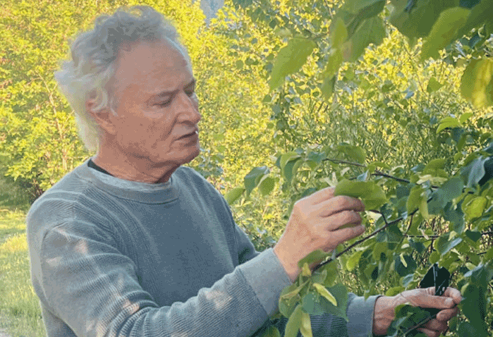 Prof. Jean Bernhard Bächtiger, Präsident Bioterra