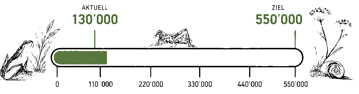 Spendenbarometer Biokurs