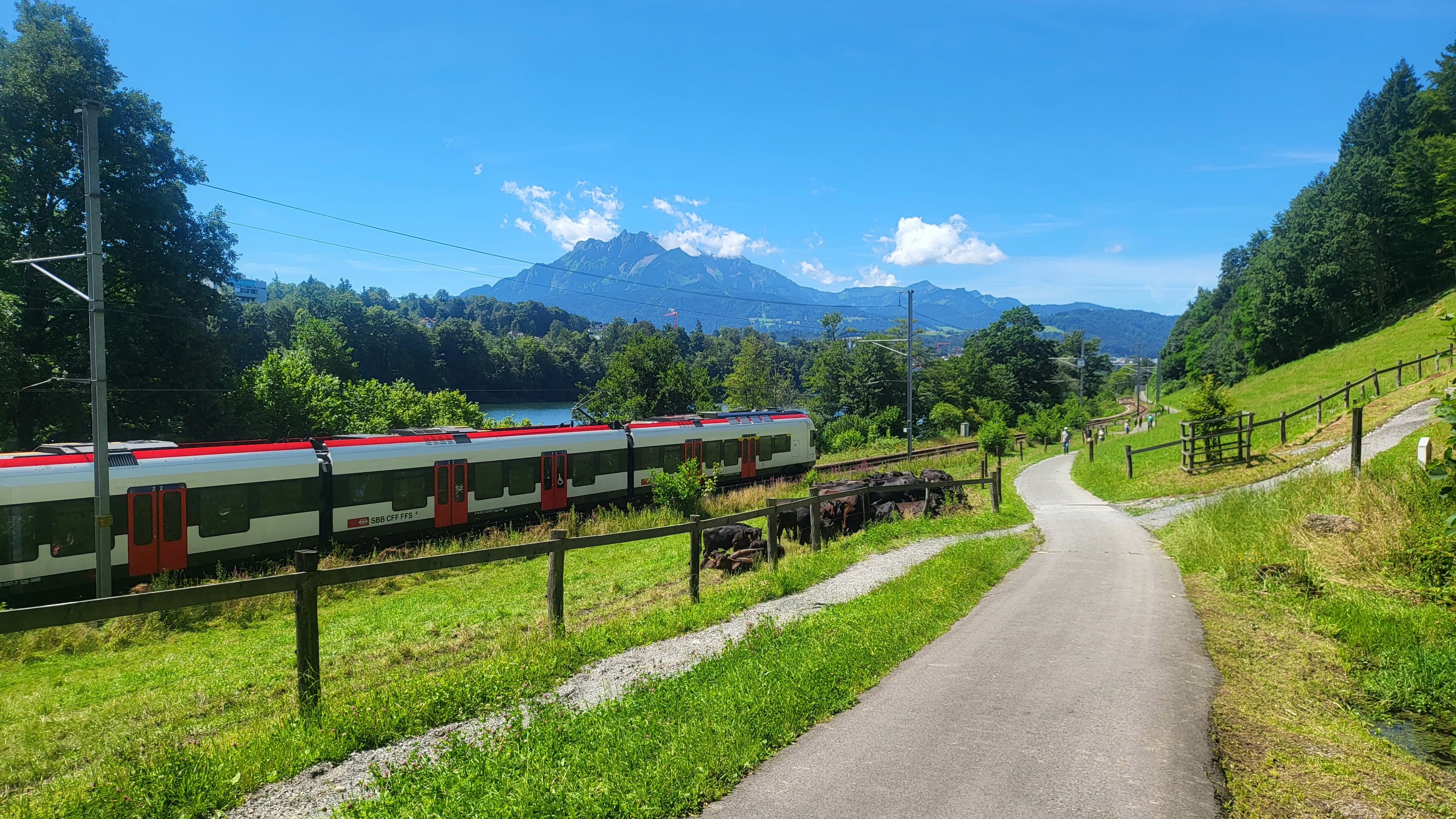 Bio-Mensa in H&uuml;nibach &ndash; gesund vor Ort essen oder Take-away | Gartenbauschule H&uuml;nibach