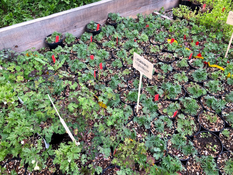 Gartenbauschule